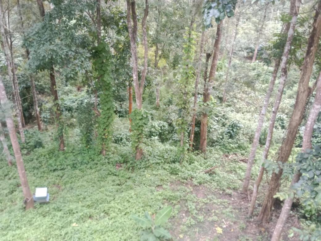 Elephant Path Coorg 3Bhk Villa Suntikoppa Exterior photo